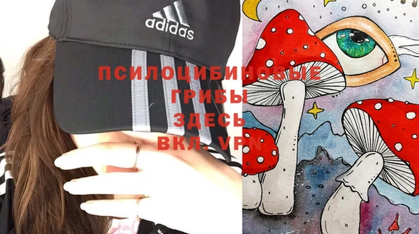 ГАЛЛЮЦИНОГЕННЫЕ ГРИБЫ Богородск
