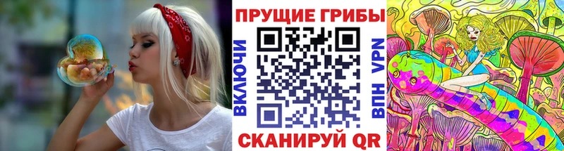 гидра сайт  Гай  Псилоцибиновые грибы Psilocybe 