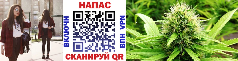 купить наркоту  Гай  Бошки марихуана THC 21% 